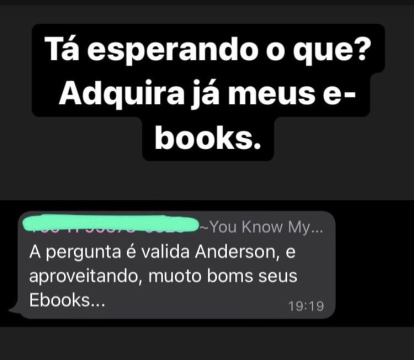 Mensagem elogiando os e-books de AndyN